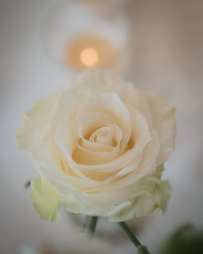 Decoración de boda en Finca La Atlántida, Galicia · Thalía & Adrián · Blue Artisan